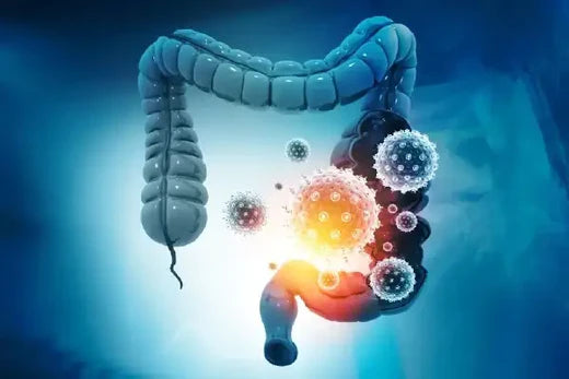 Fixing Leaky Gut: Here’s How